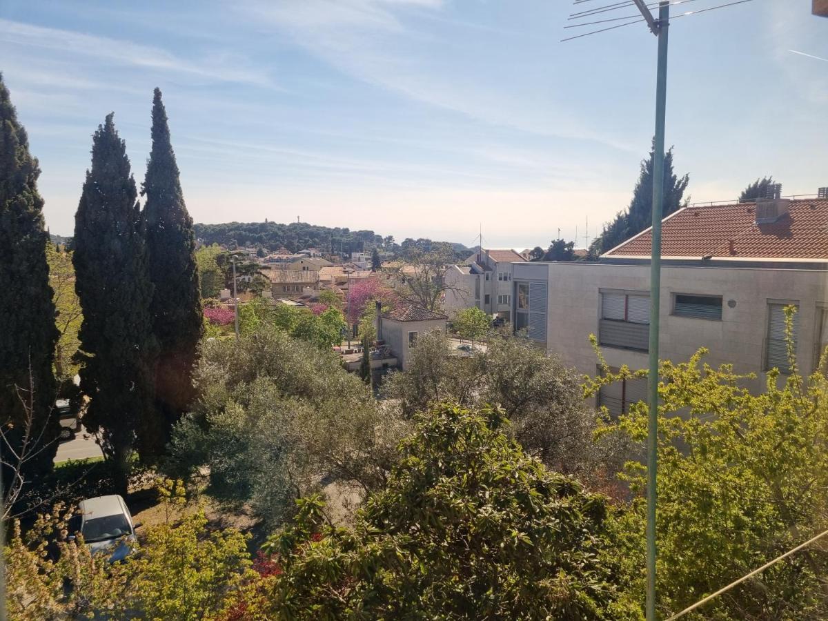 Greenview Apartment With Parking Rovinj Exteriör bild
